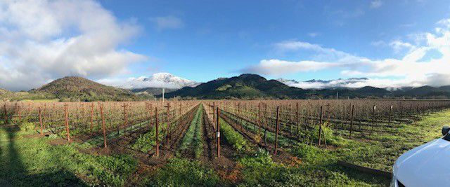 From Our Readers: Snow in Napa Valley
